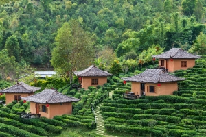 צ&#039;אנג מאי (chiang mai)
